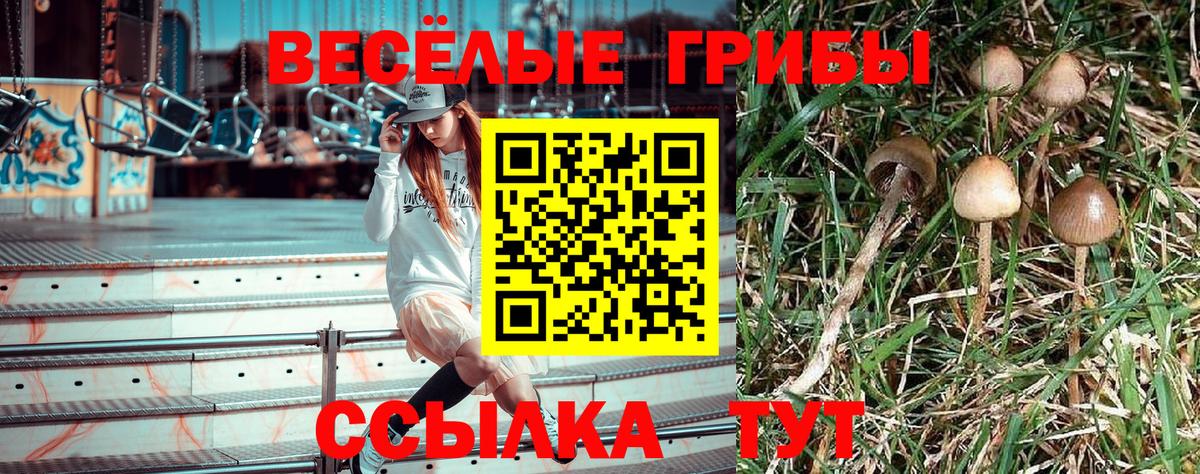 Галлюциногенные грибы Psilocybe  Вход с VPN  Калуга 