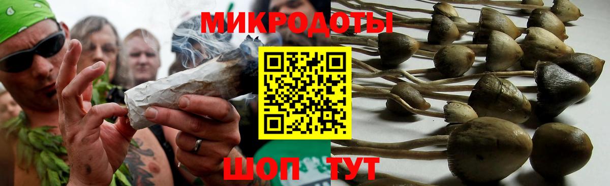 Псилоцибиновые грибы MAGIC MUSHROOMS Калуга